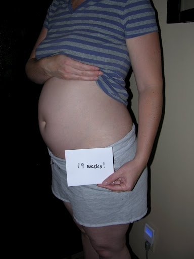 Фото живота на 19 неделе беременности