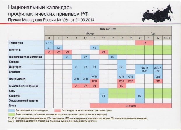 Календарь детских профилактических прививок 2019 (таблица)