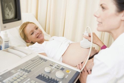УЗИ скрининг при беременности