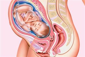 Что происходит в организме женщины на 42 неделе беременности
