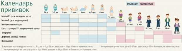 Календарь детских профилактических прививок 2019 (таблица)