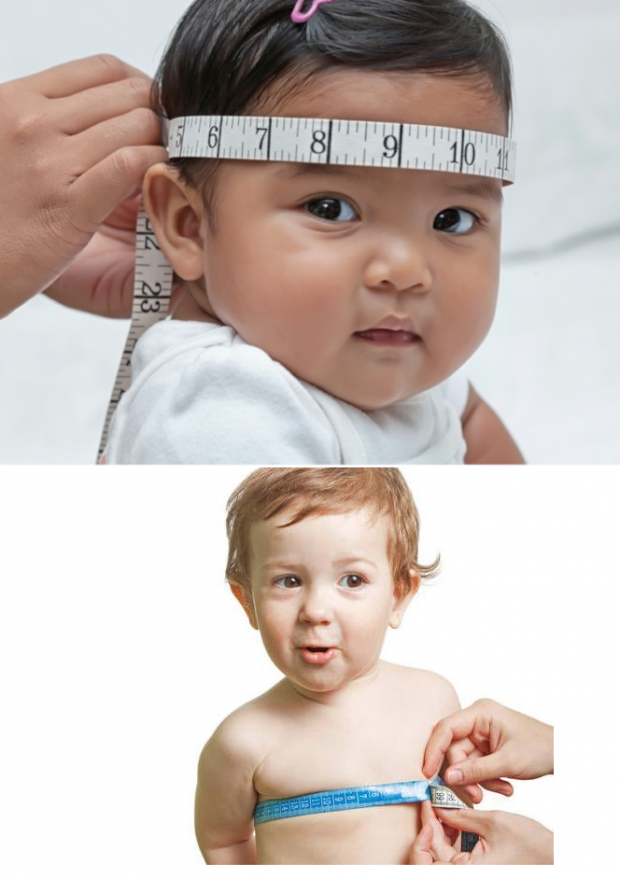 измерение окружности головы и груди у ребенка